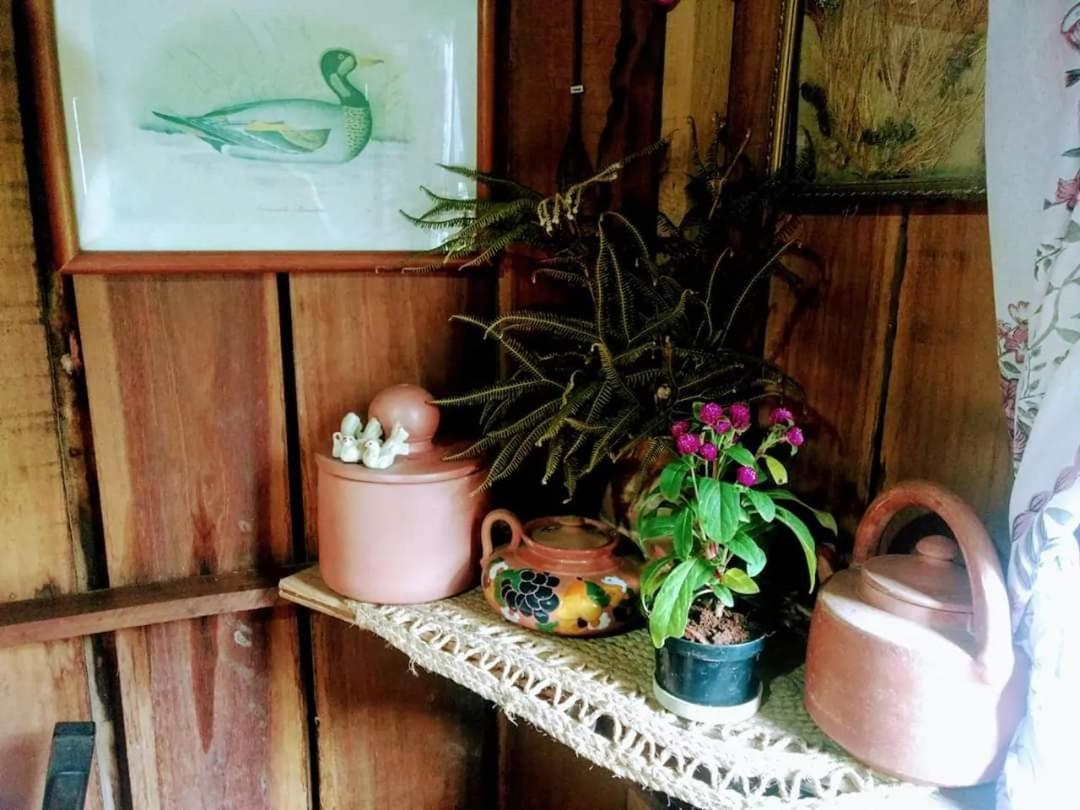 Cabana Rustica Calabresi Villa Osorio Esterno foto